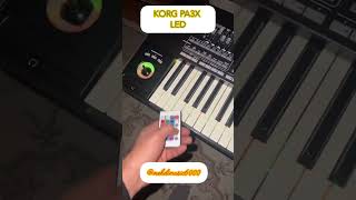 KORG PA3X LED 🎹 mehdimusic6000 korg korgpa3x led keyboard ساز کیبورد [upl. by Nicolina]