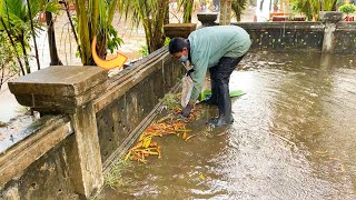 Unclogging Culvert Pipe With A Lot Of Leaves Stuck In Drain [upl. by Ahl]