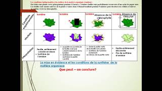 photosynthèse partie 1 er bac sciences expérimentales biof [upl. by Graces929]