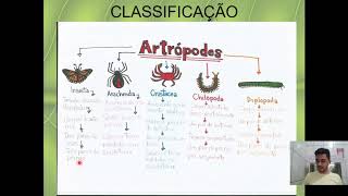 Introdução a Entomologia [upl. by Ahsemak212]