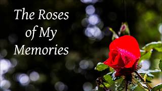 Anneli Sari Muistojeni ruusut The Roses of My Memories [upl. by Tish]