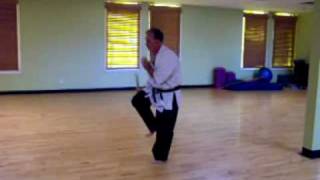 Special Nunchaku Kata by Sensei Peter Van Westering at Cocoa beach ShorinRyu Karate Seminar [upl. by Katleen]