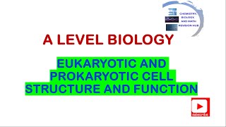 A level  Biology  Topic 3A  Eukaryotic and prokaryotic cell structure and function  Edexcel [upl. by Harry928]