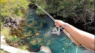 ROADSIDE CANAL Fishing Yields my Bucketlist Fish Florida Send DAY 4 [upl. by Yrahca]