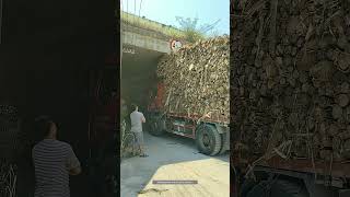 Process Of The Truck Loaded With Wood Passing Through The Bridge Opening [upl. by Melisande465]