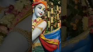 My happiness Achyuta Ashtakam OM Voicesradhakrishn kanhaiya shortsytshorts [upl. by Ainalem]