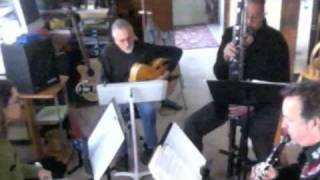 A Woodwind Trio with GuitarPedal Steel [upl. by Aivatnohs]