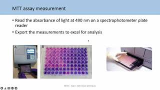 BE553 Topic 2 Tutorial 2 Analysing viability assays and IC50s [upl. by Ribble]