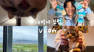 My first software internship VLOG  winter life in Cape Town ☔  Com Sci major  knitting mojo socks [upl. by Nicole]