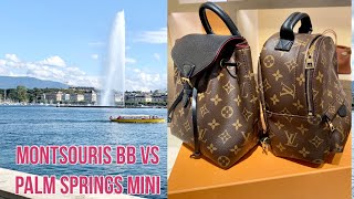 NEW Montsouris BB Backpack VS Palm Springs Mini Backpack [upl. by Ayanej]