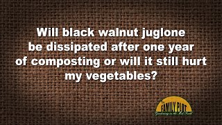 QampA – Will black walnut juglone dissipate after a year of composting [upl. by Rovert]