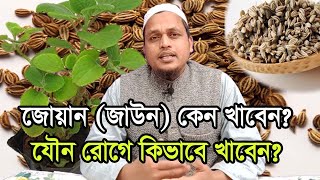 প্রতি দিন একটু করে জোয়ান আর তাতেই মিলবে এ সব উপকার Trachyspermum ammi fou your health [upl. by Ibed]