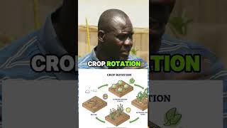 Benefits Of Organic Manure farming vegetables greenhouse richharvestafrica [upl. by Noe517]