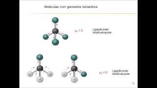 Real Microscopic Mitosis  MRC [upl. by Drawoh554]