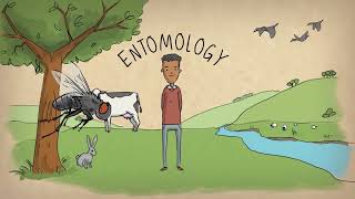 What is an entomologist [upl. by Eillit392]