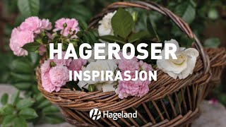 Hageroser  inspirasjon [upl. by Tnarud]