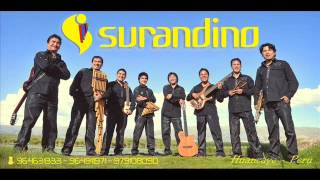 Sur Andino  Mix Cumbias [upl. by Latia]