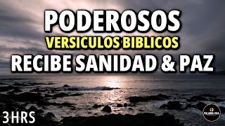 Poderosos Salmos y Versículos Bíblicos para Dormir y sentir paz  Biblia Hablada [upl. by Arlina]