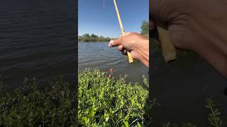 Effective red bait for carp fishingdo u want the baitfishingwithmasudhookfishing carpfishing [upl. by Hagen]