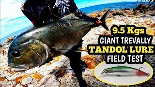 Huge Giant Trevally❗insane Fight From The Shore [upl. by Sheng]