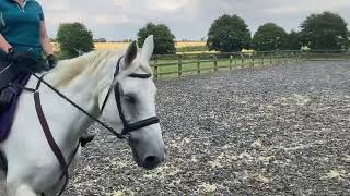 Elizabeth Soames riding dude age 21yrs main arena intro 1e august 2024 [upl. by Jamesy]