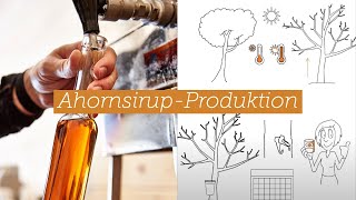 Von Ahornsaft zu Ahornsirup  Alles über die Produktion von Ahornsirup aus Kanada [upl. by Nivonod]