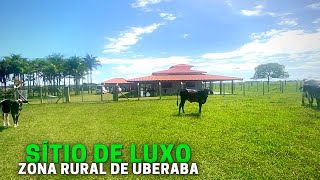 SÍTIO DE LUXO À VENDA COM 15 HECTARES EM UBERABAMG [upl. by Nevad]