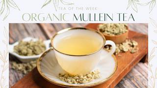 Organic Mullein Tea 🌿  Tea of the Week [upl. by Bazluke342]