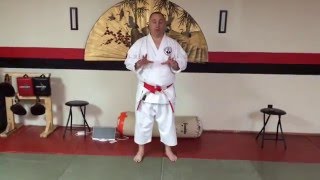 Quick Clip  Matsumura Sanchin [upl. by Eerpud]