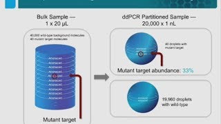 Droplet Digital™ PCR Applications for Next Generation Sequencing [upl. by Dadelos]