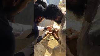 How to Correctly Give Dewormer in Calf veterinary cow veterinarymedicine veterinaryeducation [upl. by Ehcnalb]