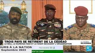 Nouvelle crise à la CEDEAO réaction de la diaspora malienne à Dakar • FRANCE 24 [upl. by Skoorb144]