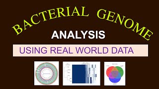 Whole Genome Sequence Analysis  Bacterial Genome Analysis  Bioinformatics 101 for Beginners [upl. by Divadnoj]