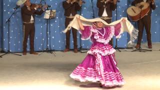 48 Festival Folklorico de los Pirineos  Mexico [upl. by Yelyah221]