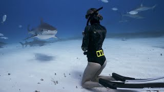 Freediving with a tiger shark [upl. by Lydnek817]