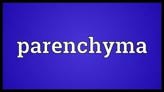 Parenchyma Meaning [upl. by Affra861]