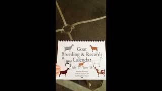 Dairy Does Goat Breeding and Records Calendar [upl. by Abbott339]