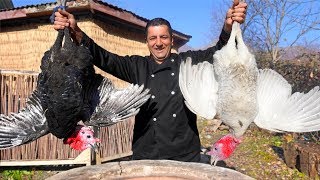 Tandoori Turkey Recipe  How to cook thanksgiving turkey perfectly  Wilderness Cooking Recipes [upl. by Irrol]