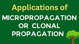 Applications of micropropagation or clonal propagation  Plant biotechnology  Plant tissue culture [upl. by Anabal]