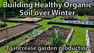 How to Build Soil over Winter Ready for Spring to Grow Amazing Vegetables [upl. by Domingo]