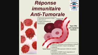 Immunité Anti tumorale Mécanisme Réactionnel des Réponses immunitaires AntiTumorale Poumon [upl. by Ymma]