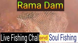 Live Chal and 1kg Soul Fish HittingRama Dam Fishing [upl. by Dehnel]