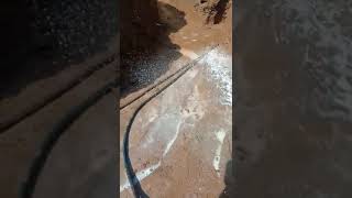 Termite Control Spray 4 Kanal Project at Cantt Lahore 03014721945 termitetreatment video viral [upl. by Leinaj334]