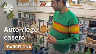 Huerto urbano con autoriego casero en un balcón de Barcelona [upl. by Ardnaxela]