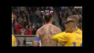 TOR DES JAHRHUNDERTS  Zlatan Ibrahimovic  alle Kommentatoren  all commentators 14112012 [upl. by Winsor]