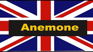 How to pronounce quotanemonequot in English Authentic British accent [upl. by Adnuhser465]