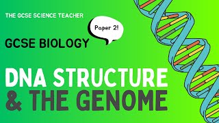 GCSE Biology DNA Structure and the Genome AQA OCR Edexcel [upl. by Nyltak]