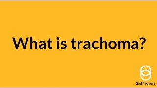 What is trachoma [upl. by Dis]