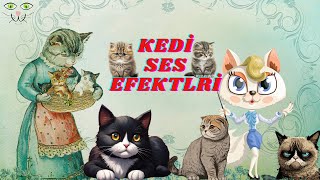 Kedi Sesleri Kedi Miyavlaması Efekti [upl. by Repip607]