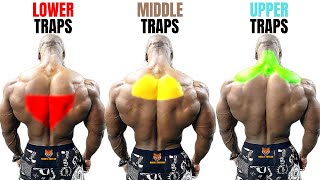 TOP 15 TRAPS WORKOUT AT GYM  LES MEILLEURS EXERCISES MUSCULATION TRAPÈZES [upl. by Hirsh]